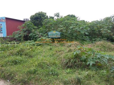 Terreno, 300 m² - Foto 3