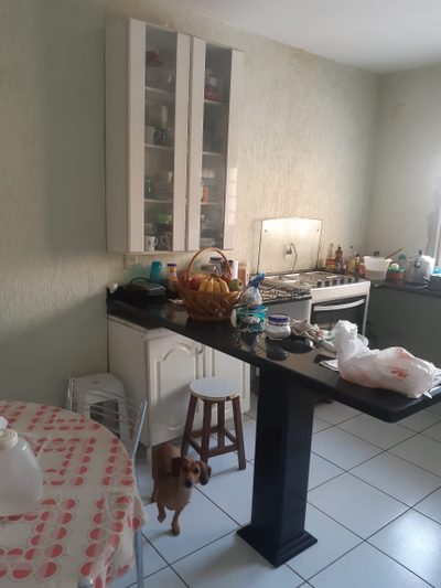 Sobrado, 4 quartos, 377 m² - Foto 4