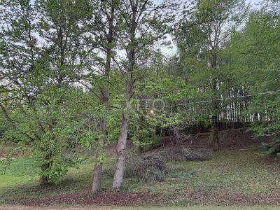 Terreno, 1000 m² - Foto 3