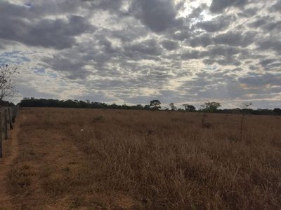 Fazenda, 213 hectares - Foto 4