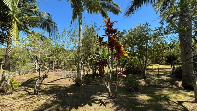 Sítio, 5 quartos, 1797 m² - Foto 3