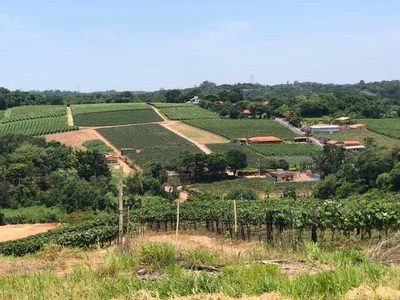 Terreno, 4 hectares - Foto 1