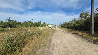 Terreno, 7836 m² - Foto 3