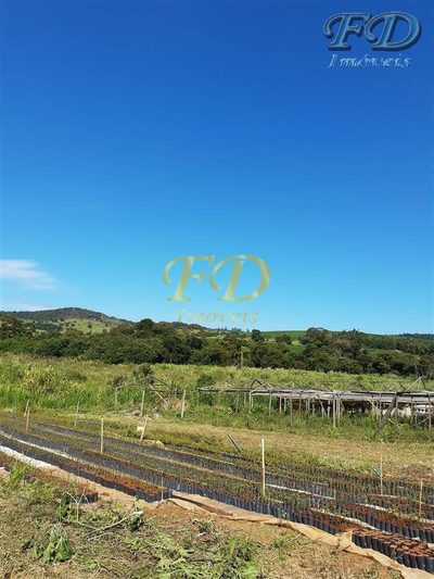 Terreno, 8 hectares - Foto 2