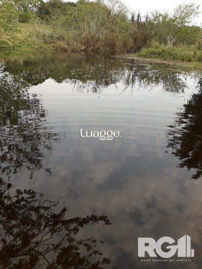 Sítio, 1 quarto, 8506 m² - Foto 4