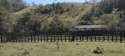 Fazenda, 254100 hectares - Foto 3
