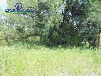 Prédio Inteiro - Foto 4