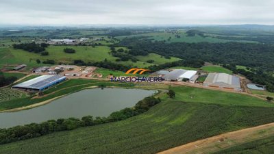 Fazenda, 532 hectares - Foto 3