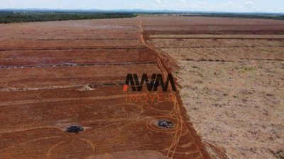 Fazenda, 3291 hectares - Foto 4