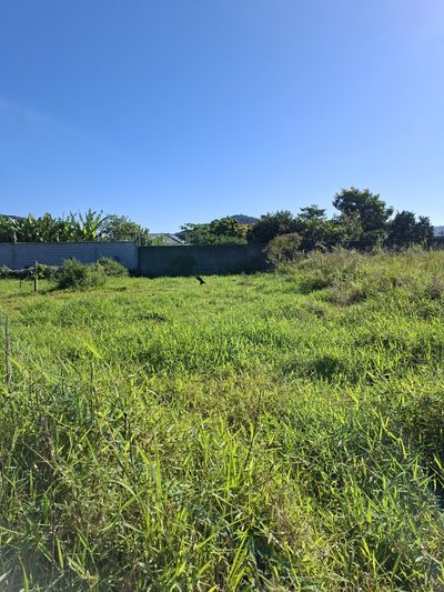 Terreno, 379 m² - Foto 4