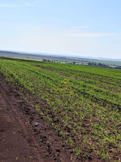 Fazenda, 900 hectares - Foto 3