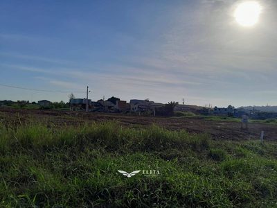 Terreno - Foto 4