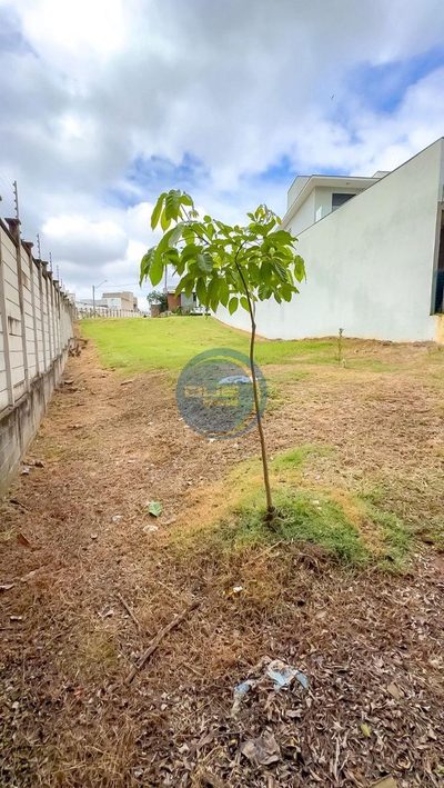 Terreno, 689 m² - Foto 4