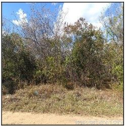 Terreno, 50 m² - Foto 1