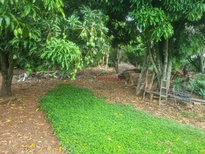Terreno, 3000 m² - Foto 3