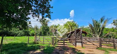 Chácara, 3 quartos, 8 hectares - Foto 1