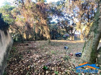Terreno, 2334 m² - Foto 5
