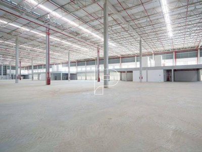 Depósito-Galpão, 4172 m² - Foto 4
