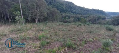 Terreno, 2540 m² - Foto 2