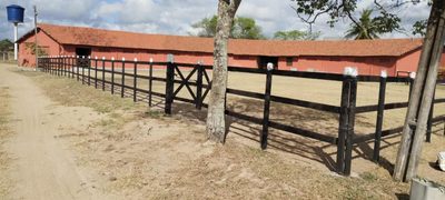 Fazenda, 181 hectares - Foto 5
