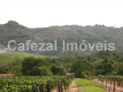 Sítio, 5 quartos, 10 hectares - Foto 4