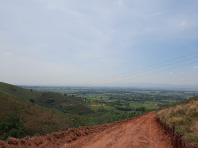 Terreno, 2 hectares - Foto 3