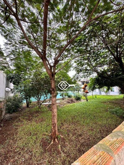 Terreno, 686 m² - Foto 4