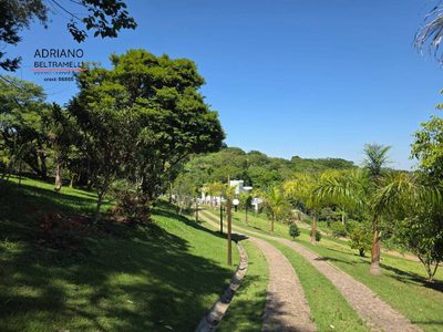 Chácara, 4 quartos, 2 hectares - Foto 3