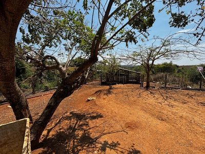 Chácara, 4 quartos, 8000 m² - Foto 3