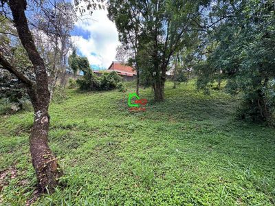 Terreno, 1012 m² - Foto 2