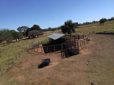 Fazenda - Foto 1
