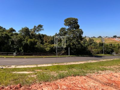 Terreno, 1076 m² - Foto 4