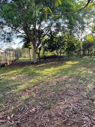 Chácara, 1000 m² - Foto 5