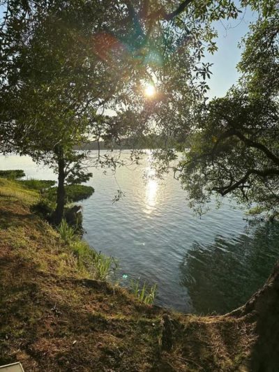Fazenda - Foto 4