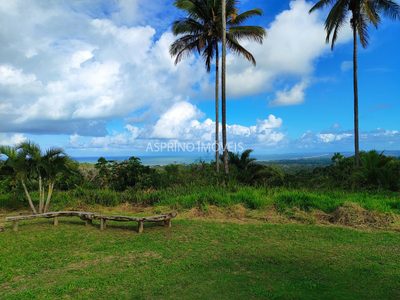 Fazenda, 19 hectares - Foto 2