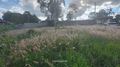 Fazenda - Foto 3