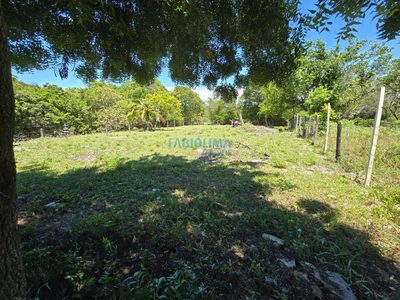 Terreno, 800 m² - Foto 3