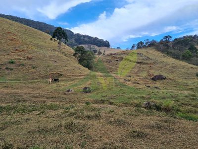 Sítio, 2 quartos, 75 hectares - Foto 3