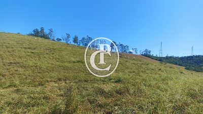 Fazenda, 247 hectares - Foto 4