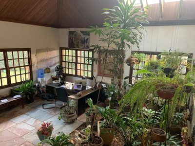 Casa, 4 quartos, 564 m² - Foto 3