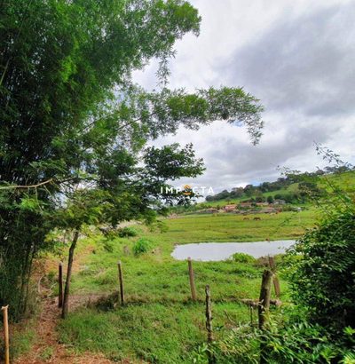 Chácara, 3 quartos, 10000 m² - Foto 5