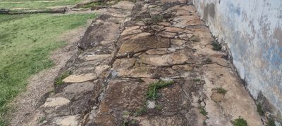 Fazenda, 100 m² - Foto 5