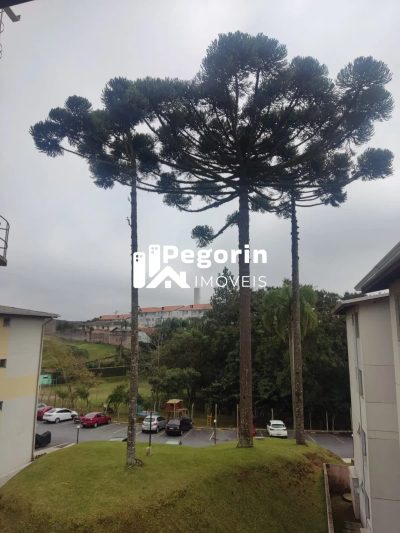 Apartamento, 2 quartos, 45 m² - Foto 4