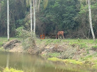 Fazenda, 24 hectares - Foto 3