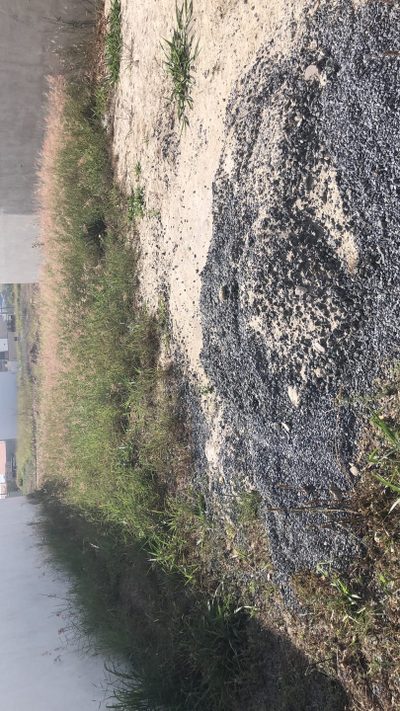 Terreno, 250 m² - Foto 1