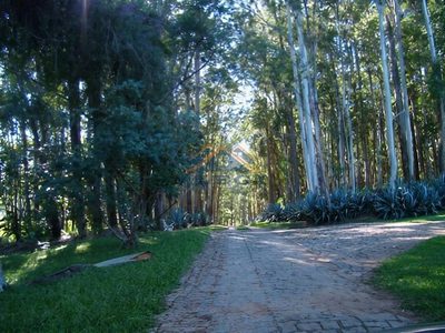 Fazenda, 64 hectares - Foto 5