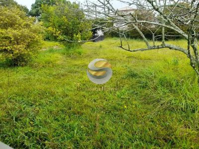 Terreno, 3280 m² - Foto 5