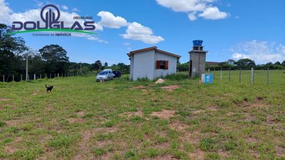 Chácara, 2 quartos, 5000 m² - Foto 5