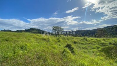 Terreno, 9 hectares - Foto 2