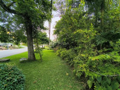 Terreno, 488 m² - Foto 3